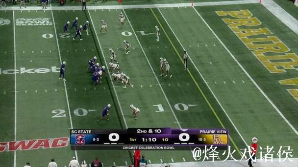 南卡州大40比38险胜伊利诺斯维尤农工